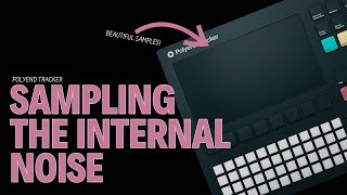 .NOIR. - Sampling the internal noise #polyendtracker