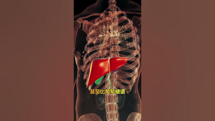 果糖對肝臟的負擔 遠離高GI飲食降低胰島素過多風險