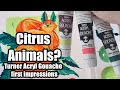Citrus Animals ? - Turner Acryl gouache first impressions