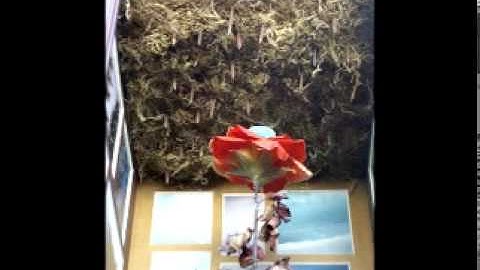 Irr. App. (Ext.): Fly Away, And Then What / Ape Greasing... / Antedelirational Music Box