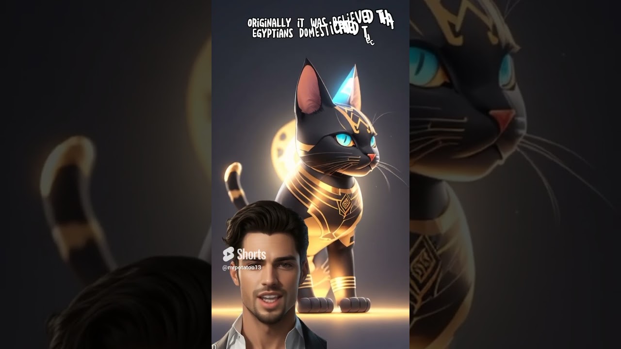 Who Is The Oldest Cat