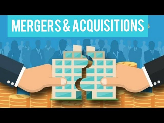 Investment Banking for Mergers & Acquisitions 