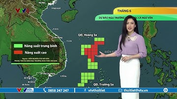 Dự báo thời tiết biển ngày 03/06/2023 | Ngư trường cá ngừ vằn tháng 6 | VTVWDB