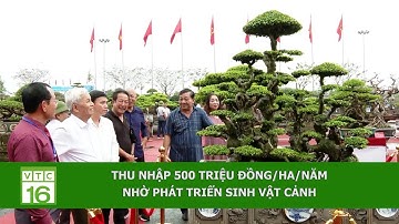 Thu nhập 500 triệu đồng/ha/năm nhờ phát triển sinh vật cảnh | VTC16