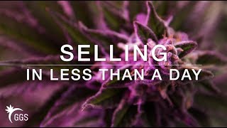 How To: SELL Your House in Less than 1 Day (A Cannabis Grower's Guide)