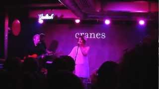 Cranes - Shining Road live@Panic! Club Bucharest 01.12.2012
