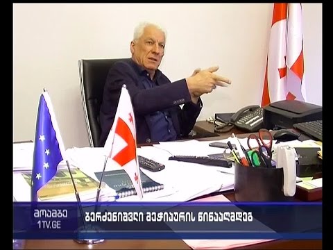 ლევან ბერძენიშვილი თამაზ მეჭიაურს აკრიტიკებს