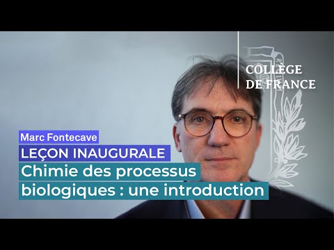 Vidéo: A quoi sert un processus biologique ?