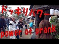 9.  Bushman Prank: Power of Prank, Japanese Reactions at Nara Deer Park Japan 奈良公園ドッキリ：ドッキリパワー、熊人間出現