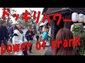 9. Bushman Prank: Power of Prank, Japanese Reactions at Nara Deer Park Japan 奈良公園ドッキリ：ドッキリパワー、熊人間出現