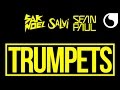 Sak Noel & Salvi Ft. Sean Paul - Trumpets (Extended Mix)