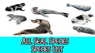 All Seal Species  Species List