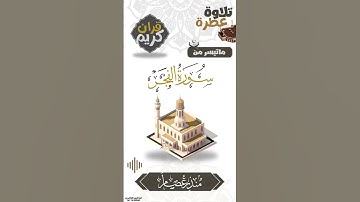 ماتيسر من سورة الفجر بصوت القارئ منذر عصام