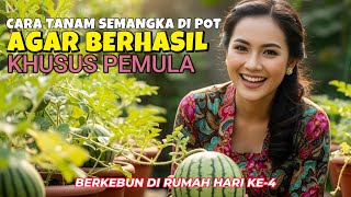 SECRET!! How to plant watermelon in a pot to be successful until harvest - GARDENING AT HOME DAY 4