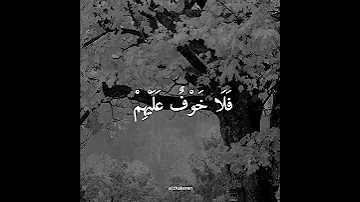 مقاطع قرآن قصيرة فيديوهات تيك توك 