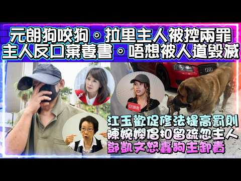 元朗狗咬狗。拉里主人被控兩罪 | 主人反口棄養書。唔想被人道毀滅 | 江玉歡促修法提高罰則 | 陳婉嫻倡扣留疏忽主人 | 鄧凱文怒轟狗主卸責