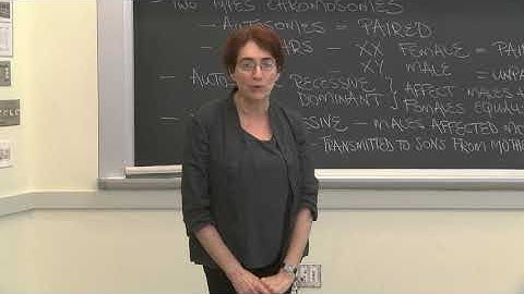 Lecture 4.5: Inheritance and Genetics  — Conclusion