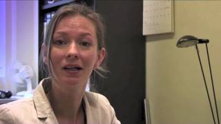 Vip In De Bouw Onderzoek Leefstijl Programmas