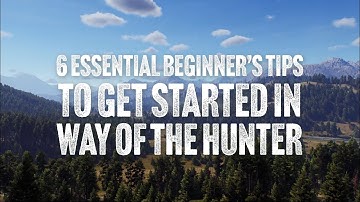6 Essential Beginner