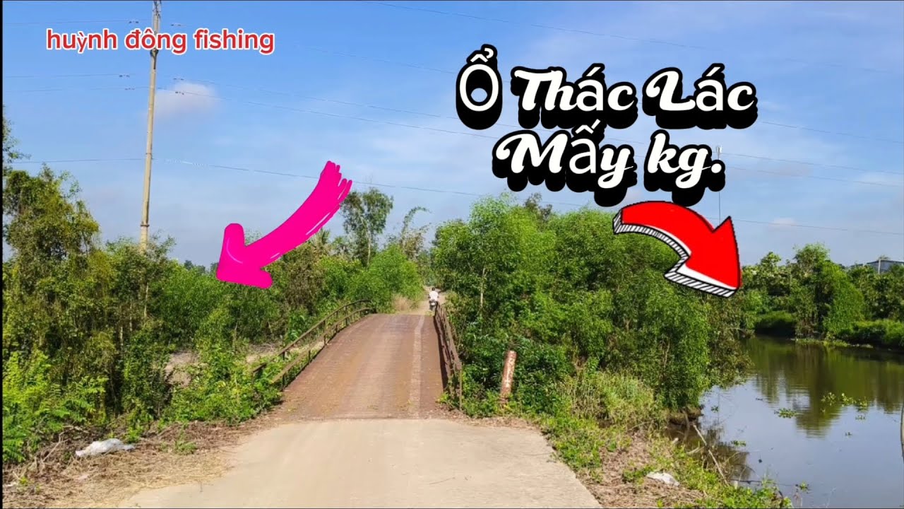 Chia sẻ điểm câu/Trúng Ổ Rồi Thác Lác làm một hơi vài kg.