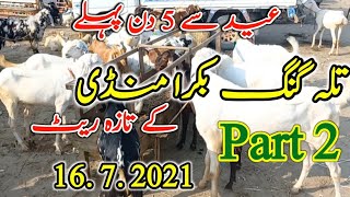 Part 2 Qurbani wali Eid Se 5 DayPahle Talagang bakra Mandi ||dumba mandi || Maweshi mandi ||