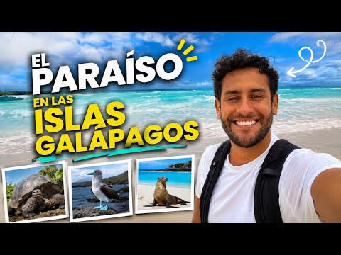 TORTUGA BAY, el PARAÍSO en las ISLAS GALÁPAGOS