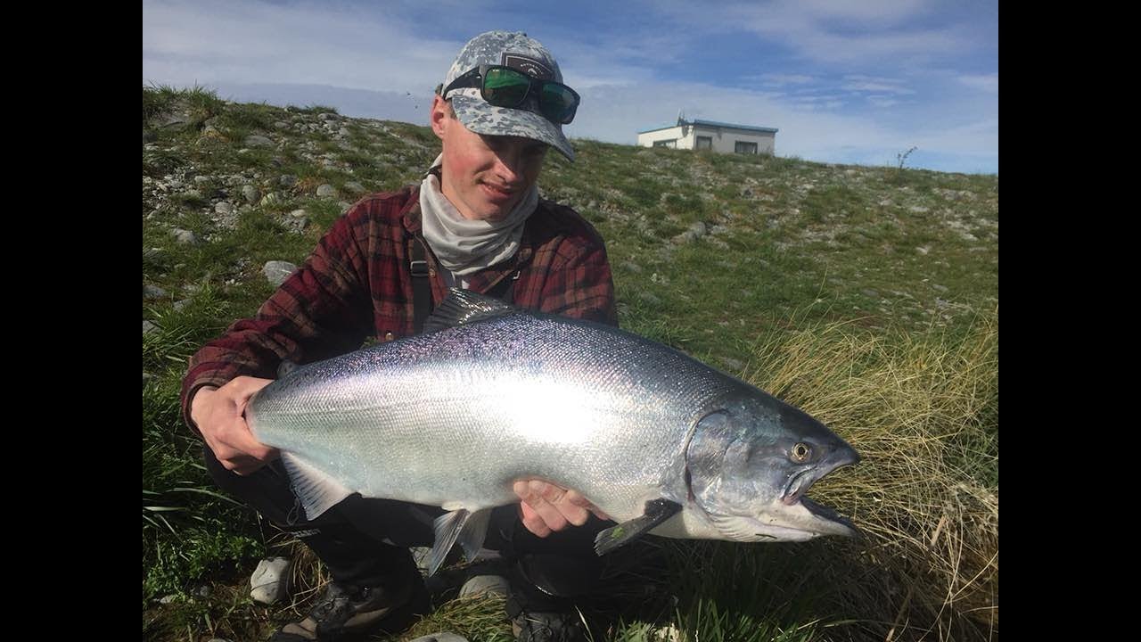 I Nearly Broke My Personal Best Salmon, Soft Plastic Fishing The Twizel