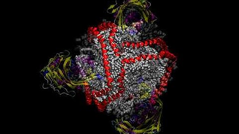 A cholesterol ester entering CETP through the C-terminal tunnel opening, ACT 2