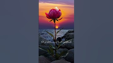 { واستغفر الله إن الله كان غفورا رحيما ولا تجادل عن الذين يختانون أنفسهم } سورة النساء #تلاوة_خاشعة