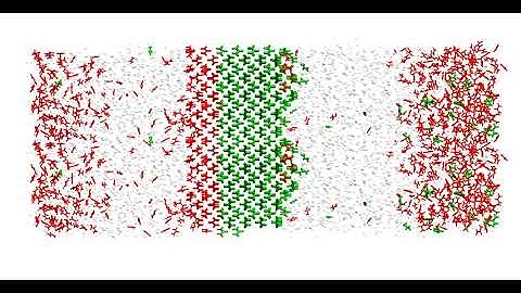 Modeling crystal growth from solution: Simultaneous growth and dissolution of urea crystal