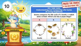 TEKS Science 3rd Grade - 3.13B: Exploring Life Cycles in Different Organisms (Task Card)