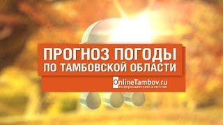 Прогноз погоды в Тамбове и Тамбовской области на 24 сентября 2023 года