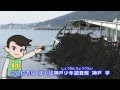 発見！こうべおしごと調査隊－神戸の漁業・須磨海苔を作るおしごと