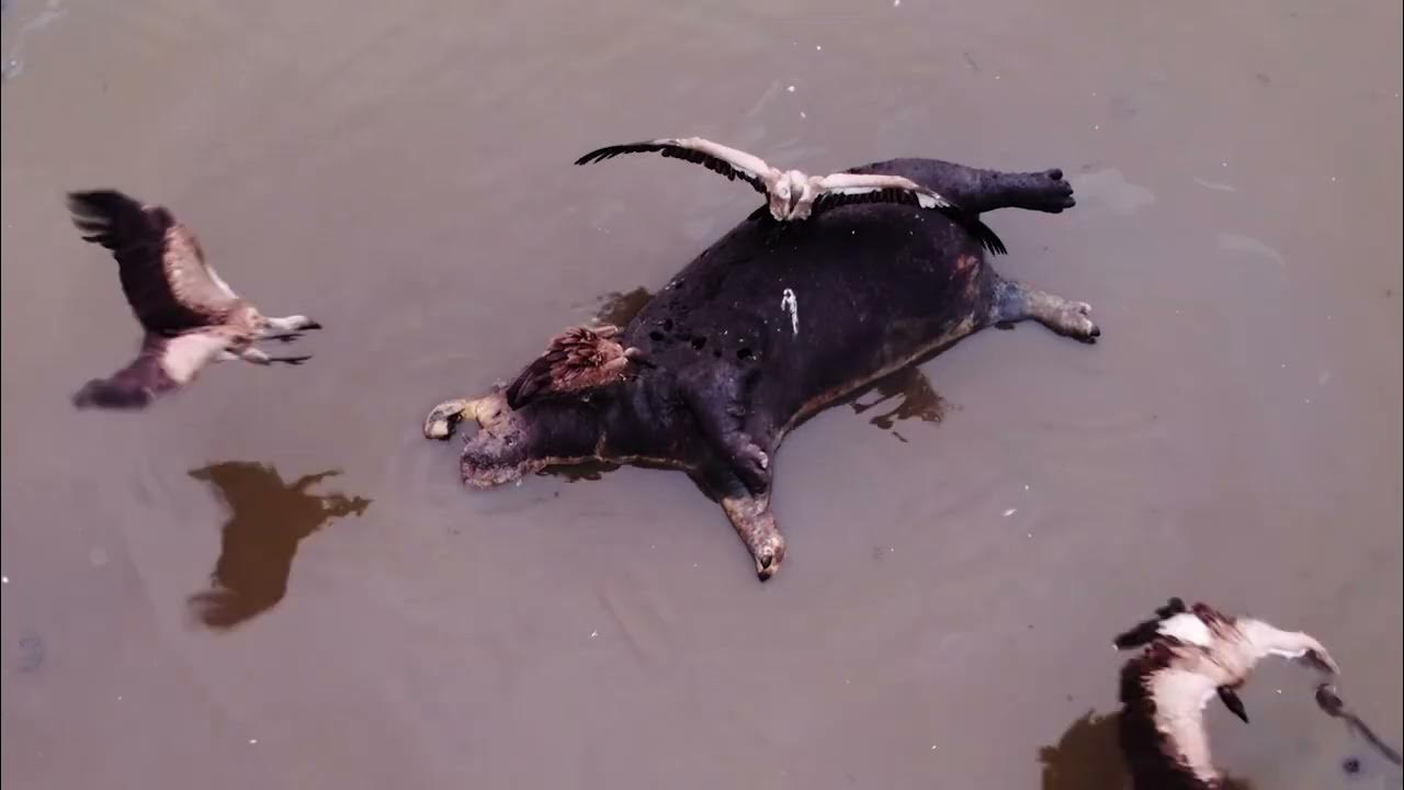  4  | :    |   
 - 11:51-2025 / 8 / 3