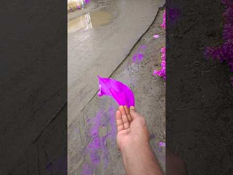 #cute #tutorial just