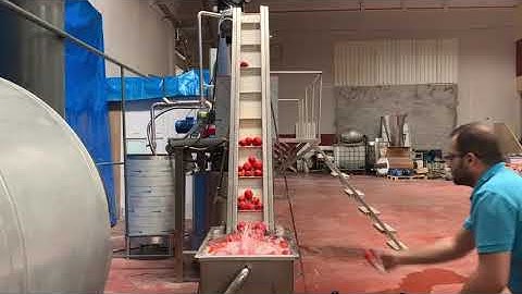 Tomato Paste Processing Line