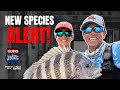 🔥BUCKET LIST SMASHED 🎣 Vegas Catches A GHOST!!