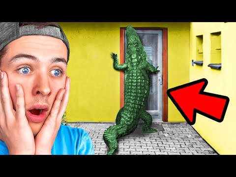 Top 20 CRAZIEST