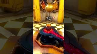 Download Lagu #shiv #shiva #shivshankar #shivshakti #aadiyogi #love #livestream #live #hindudeity #hindugod #ram MP3