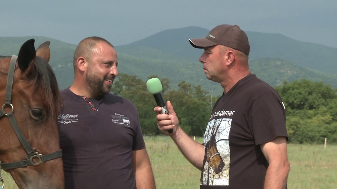 Трето състезание на рисисти коне с двуколки - с. Войнягово