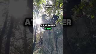 Insane trial riders!