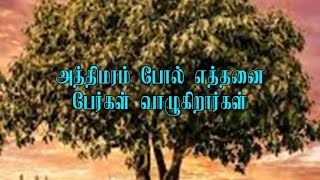 Vignette de la vidéo "அத்திமரம் போல் எத்தனை பேர்கள் வாழுகிறார்கள் | Tamil Christian songs l SHARE AND SUBSCRIBE"