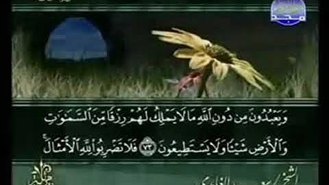 سورة النحل من الآية 73 الى الآية  87
