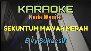 KARAOKE DANGDUT MIX / SEKUNTUM MAWAR MERAH (Elvy Sukaesih)
