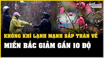 Dự báo thời tiết 07/02: Không khí lạnh mạnh sắp tràn về, miền Bắc giảm gần 10 độ