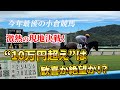 【競馬】まずは3連複10頭ボックス!