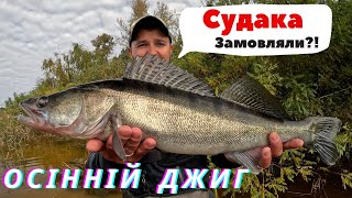 ШАЛЕНИЙ СУДАК ПОПЕР на далекобійний ДЖИГ. Осіння роздача гарного судака на джиг з берега на Дніпрі.