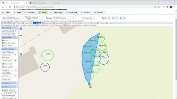 BS 5837 Groups of Trees