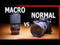 Macro vs normal lens for macro photography