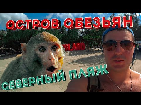 Video: Príbeh Ostrova Monkey • Strana 3